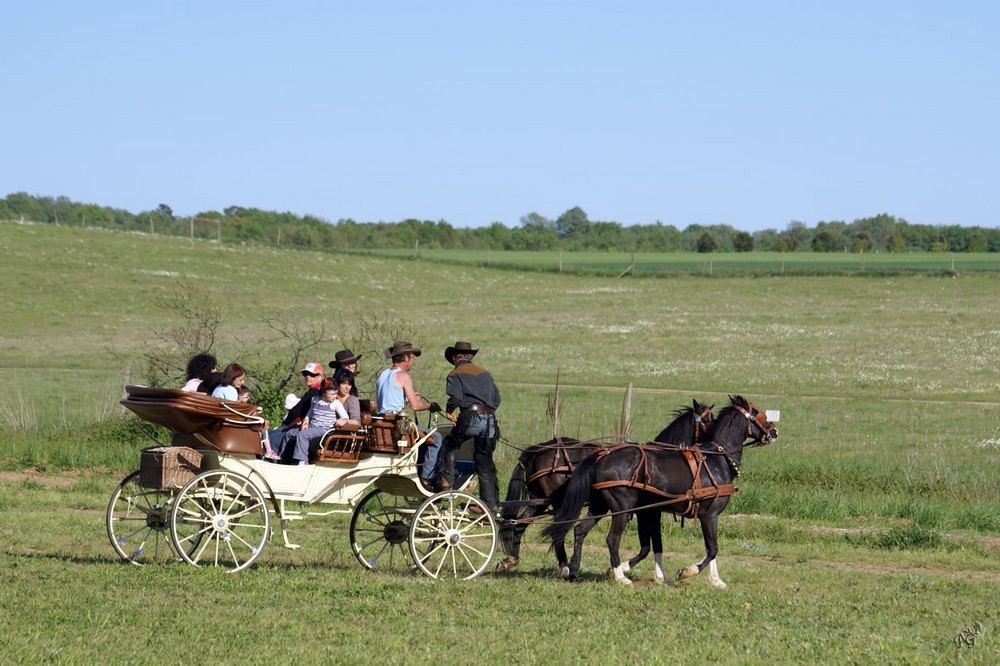 Dans les plaines du Far-west .......