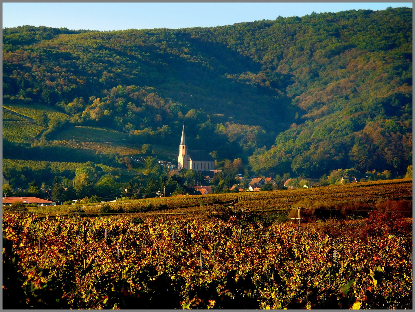 Dans les rayons du soleil d' automne ..