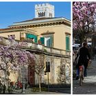 dans les rues ...de lucca