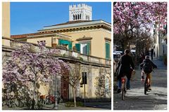 dans les rues ...de lucca