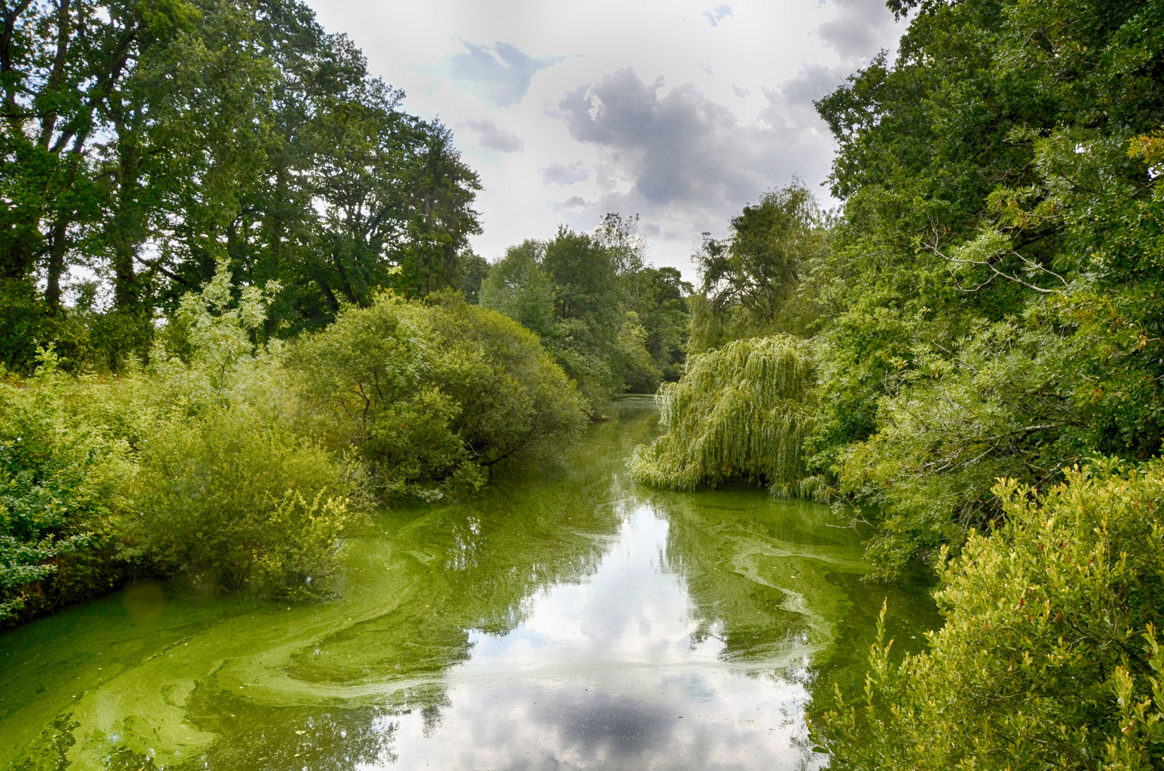 dans les secrets du lac...!