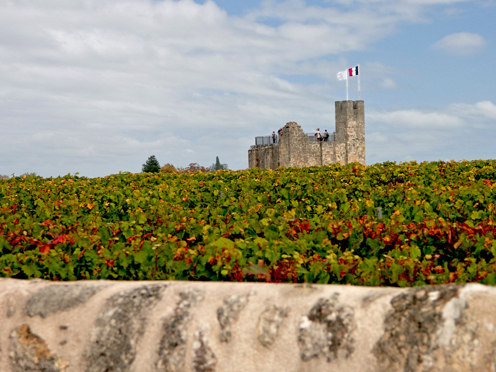 Dans les vignes