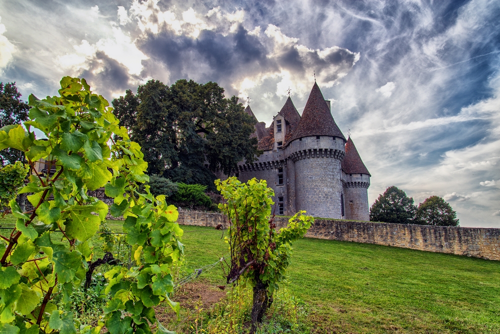 Dans les vignes du château de Monbazillac