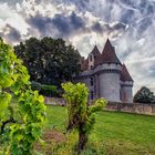 Dans les vignes du château de Monbazillac