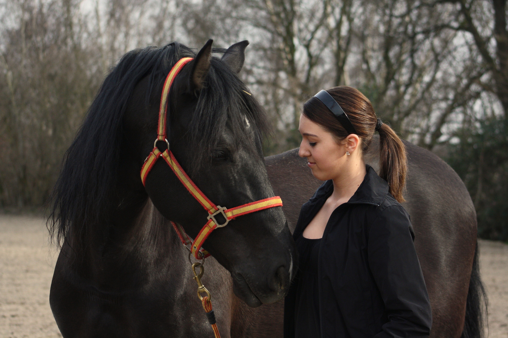 Dans les yeux de la cavalière