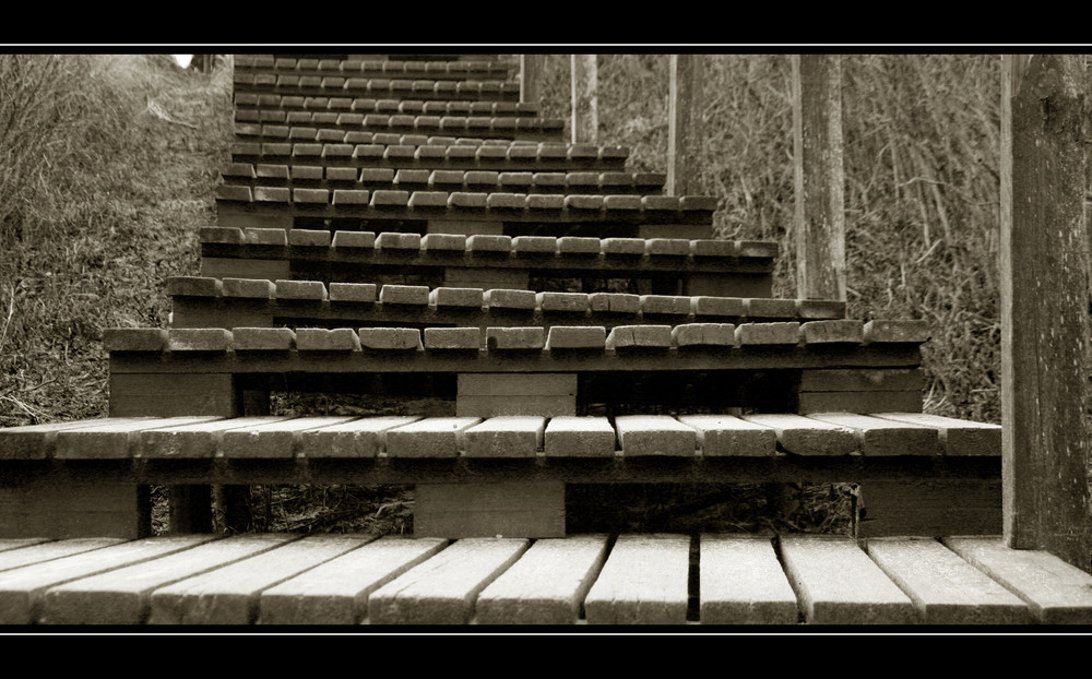 dans l'escalier