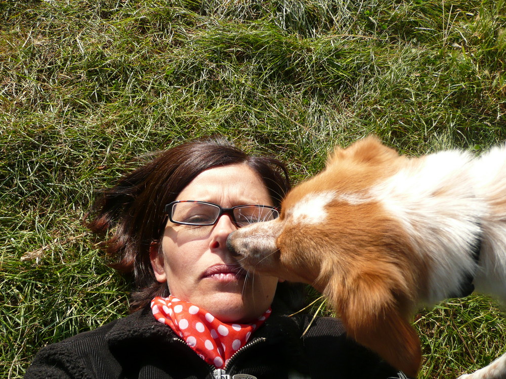 Dans l'herbe