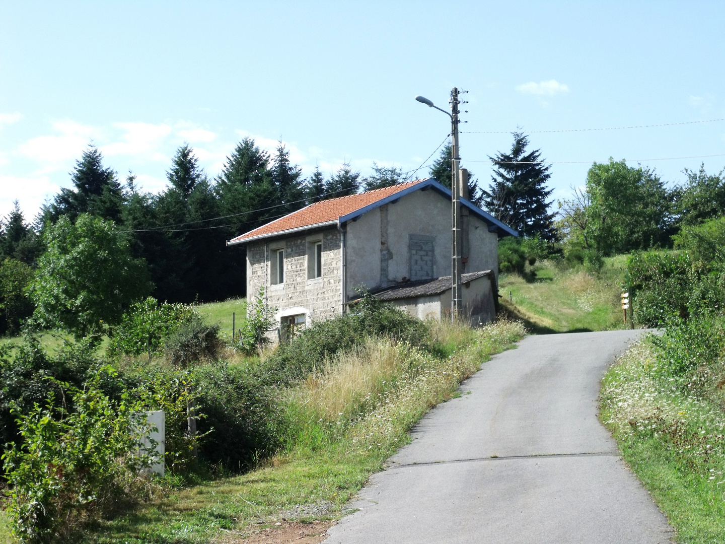 dans nos campagnes de Bully (dans la Loire)