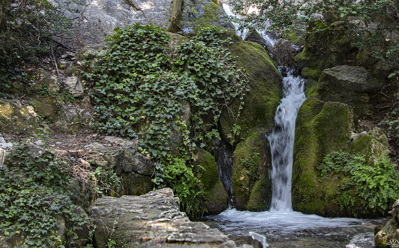 Dans son écrin de verdure