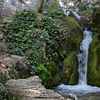 Dans son écrin de verdure