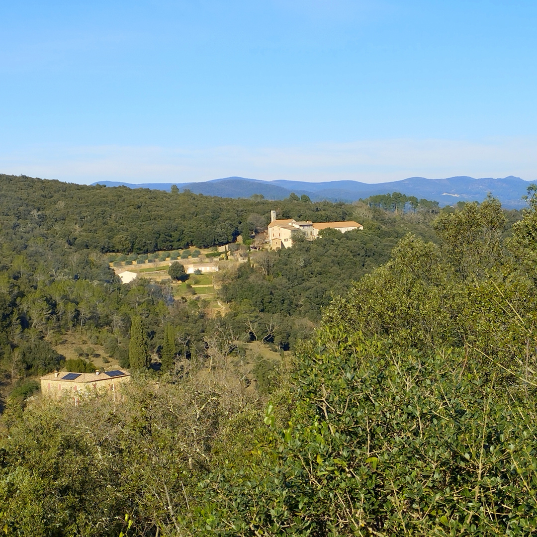 Dans son écrin de verdure , le Monastère !