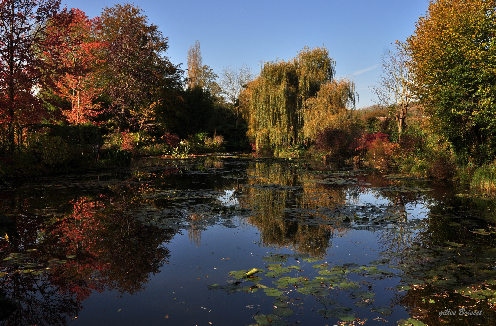 dans son jardin d'automne