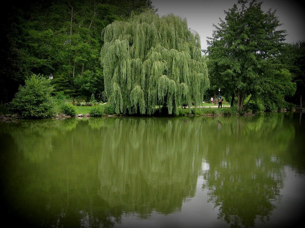 dans un écrin de verdure