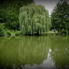 dans un écrin de verdure