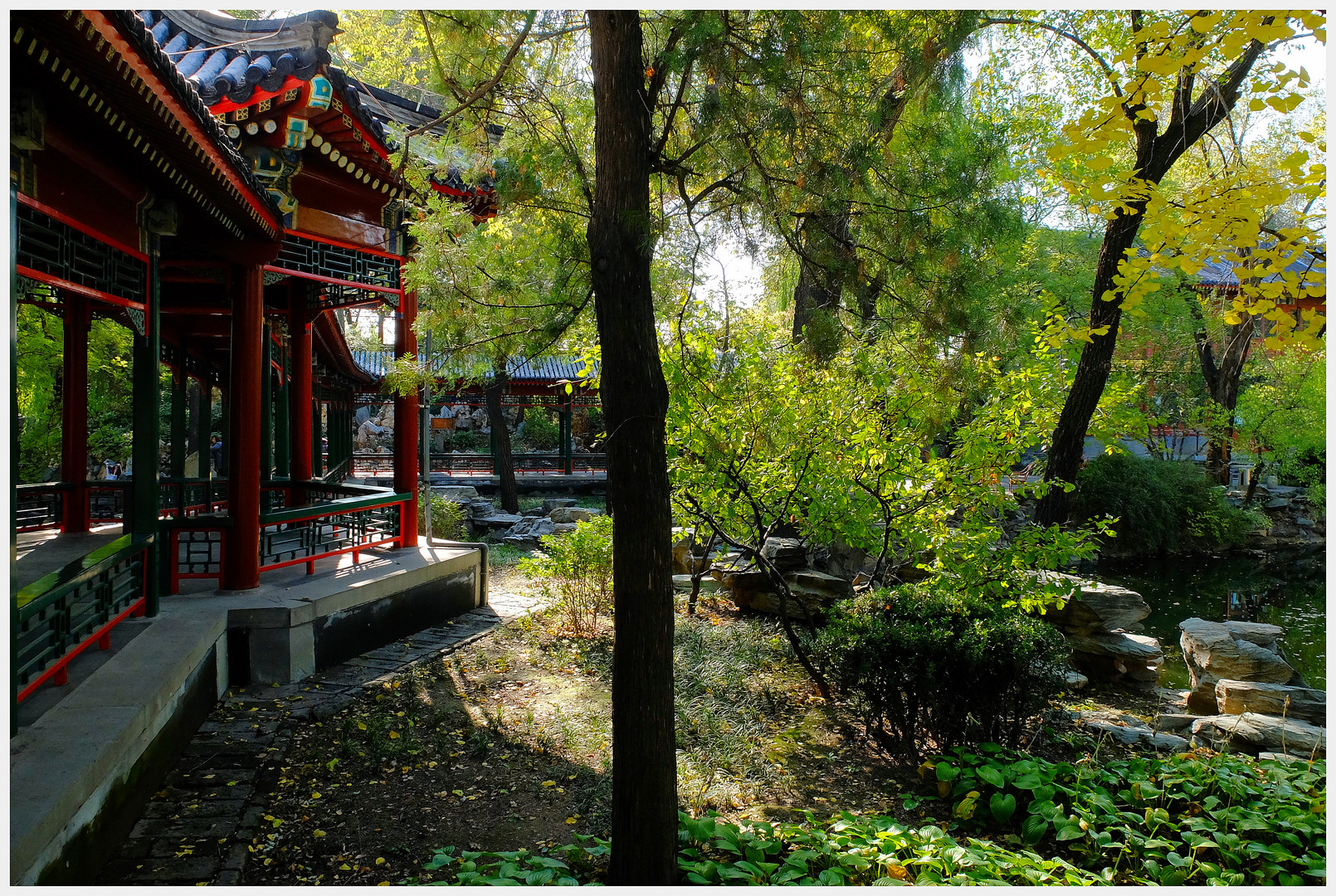 Dans un jardin chinois