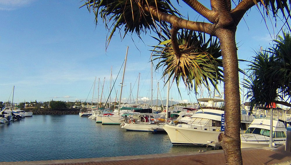 Dans une des marinas de Nouméa -- In einer der Marinas von Nouméa