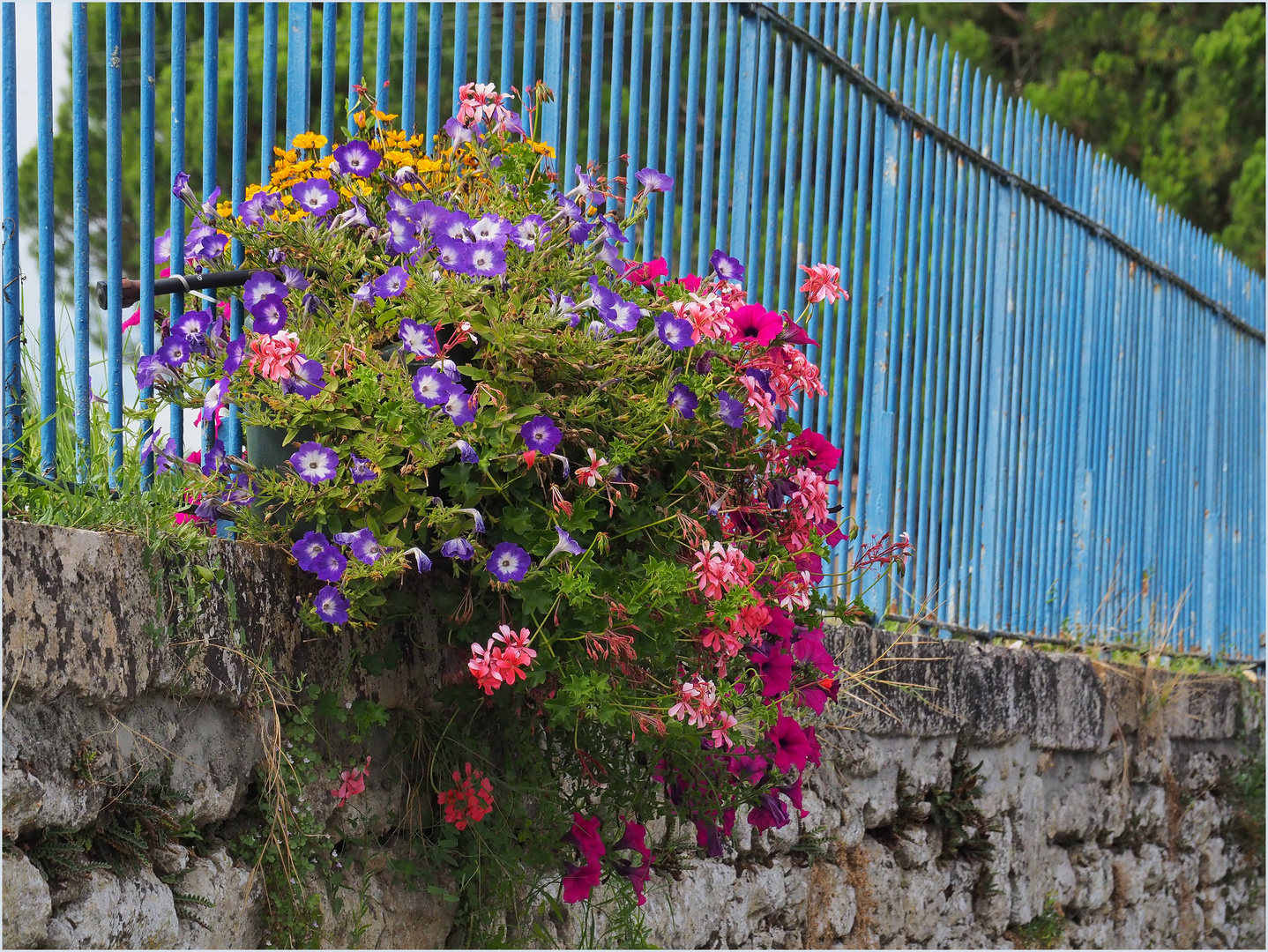 Dans une rue de Sauternes