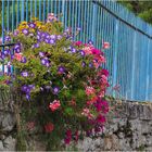 Dans une rue de Sauternes