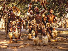 Danse des boucliers