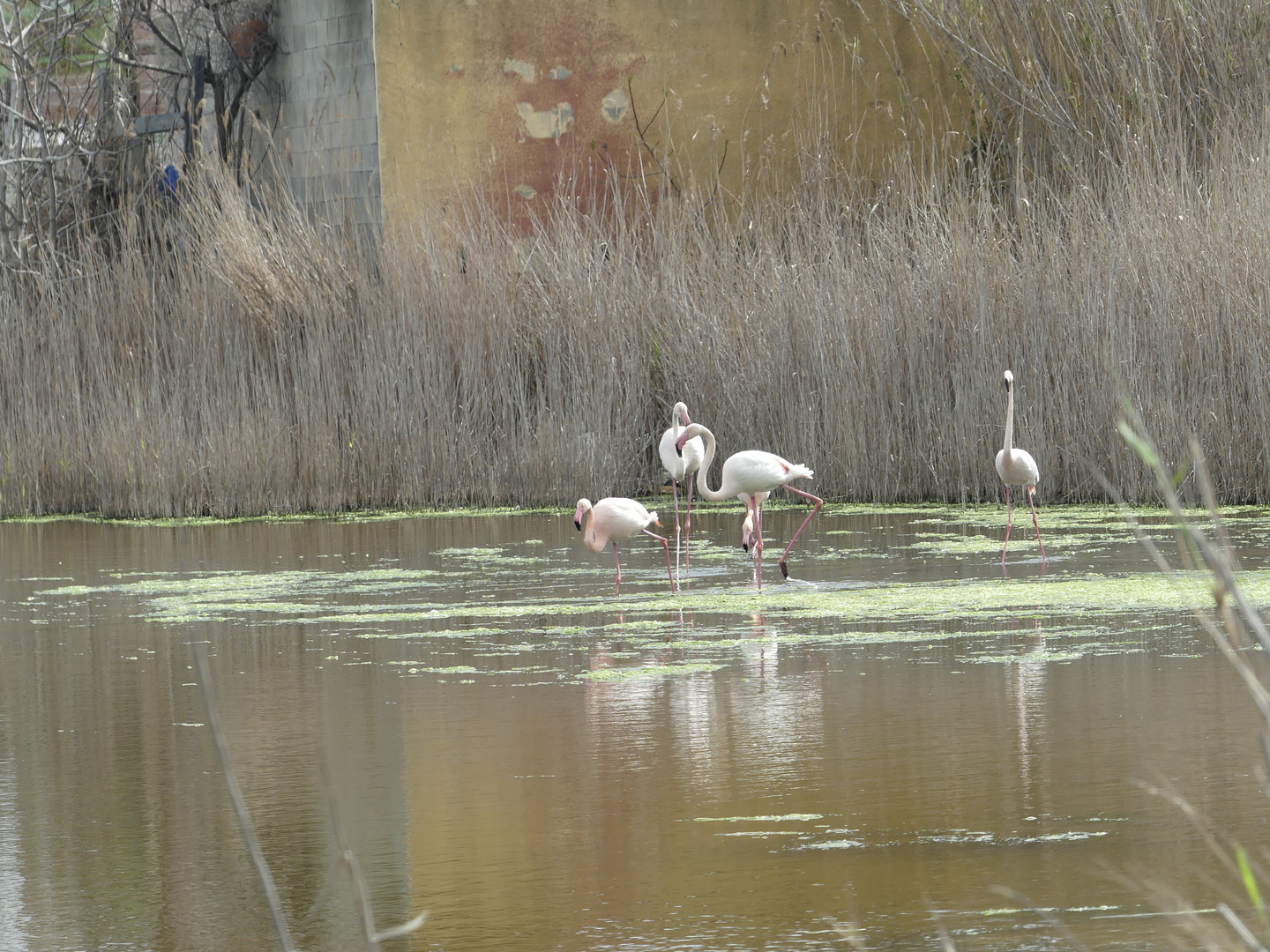 Danse sur l'eau.