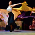 Danseuse de flamenco.