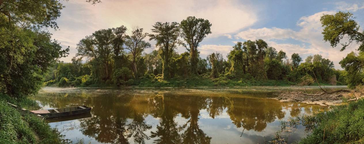 Danube - Backwater