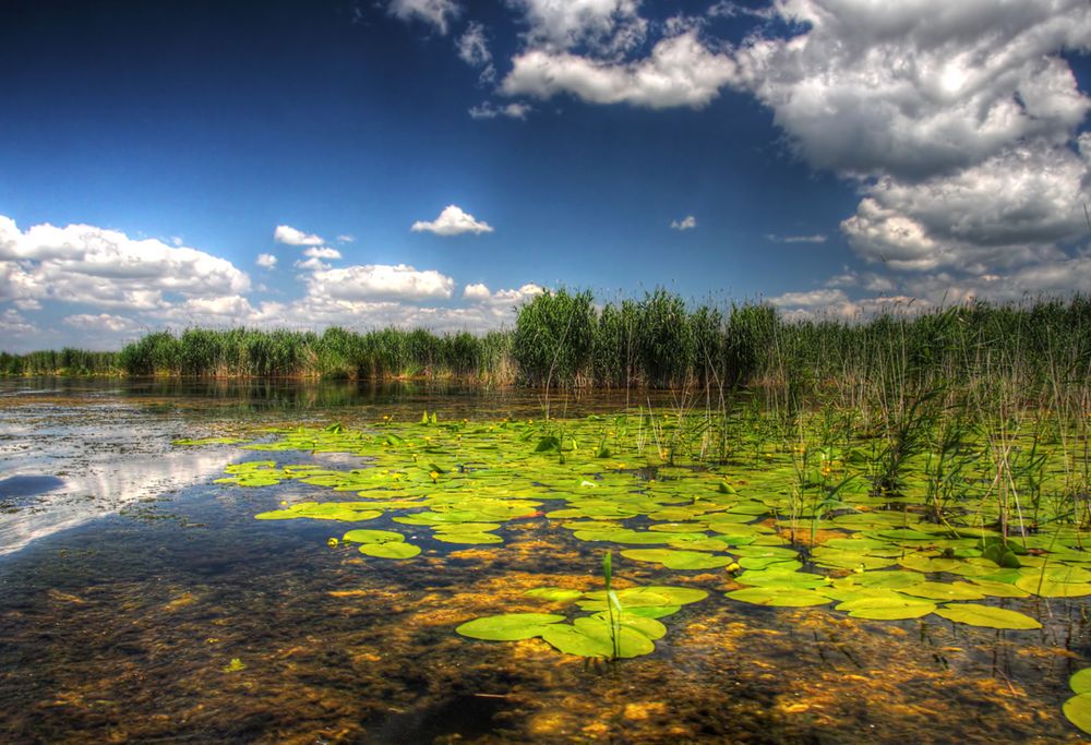 Danube Delta 1