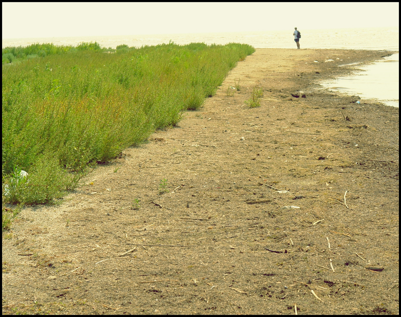 danube delta