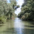 Danube Delta