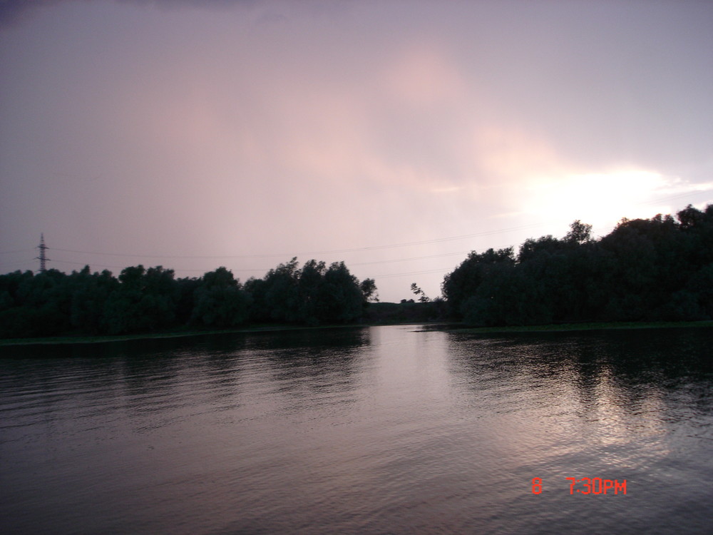 Danube delta