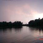 Danube delta