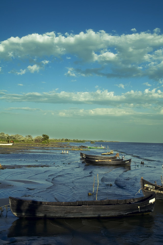 danube delta