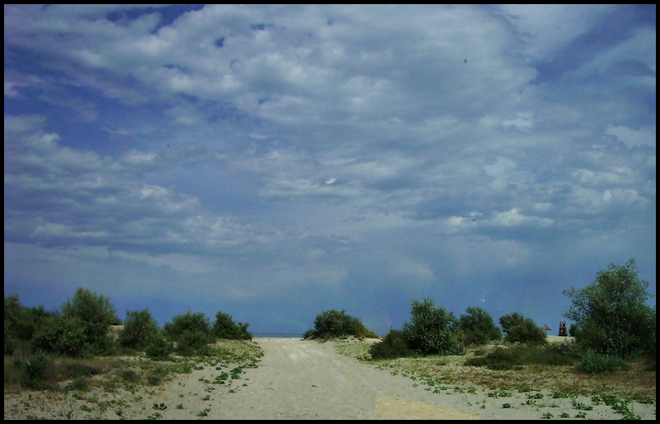 danube delta