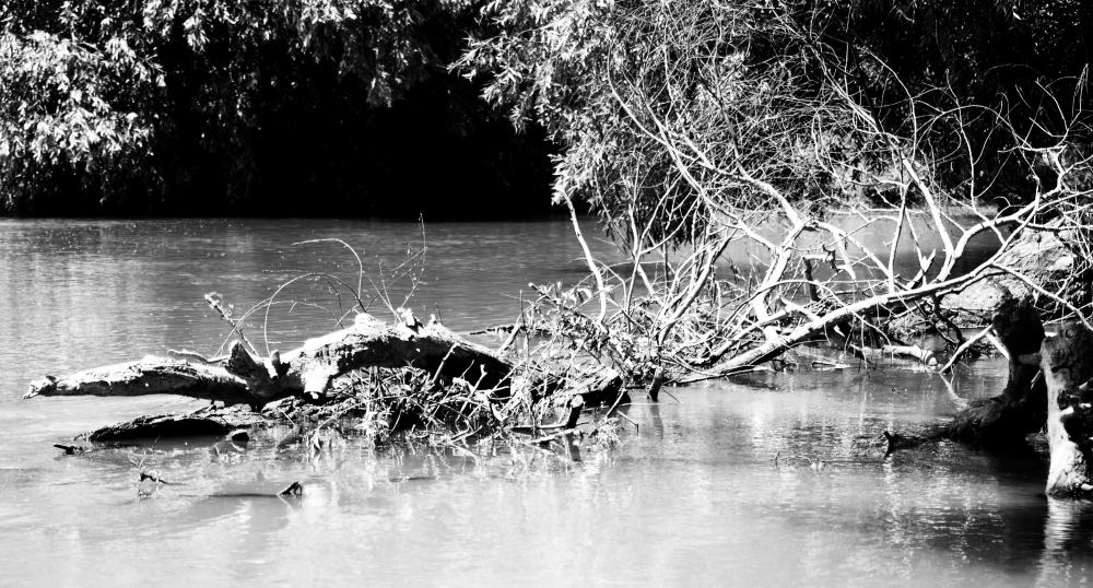 Danube Delta - Landschaft