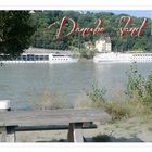 Danube Island Vienna - Summer 2013