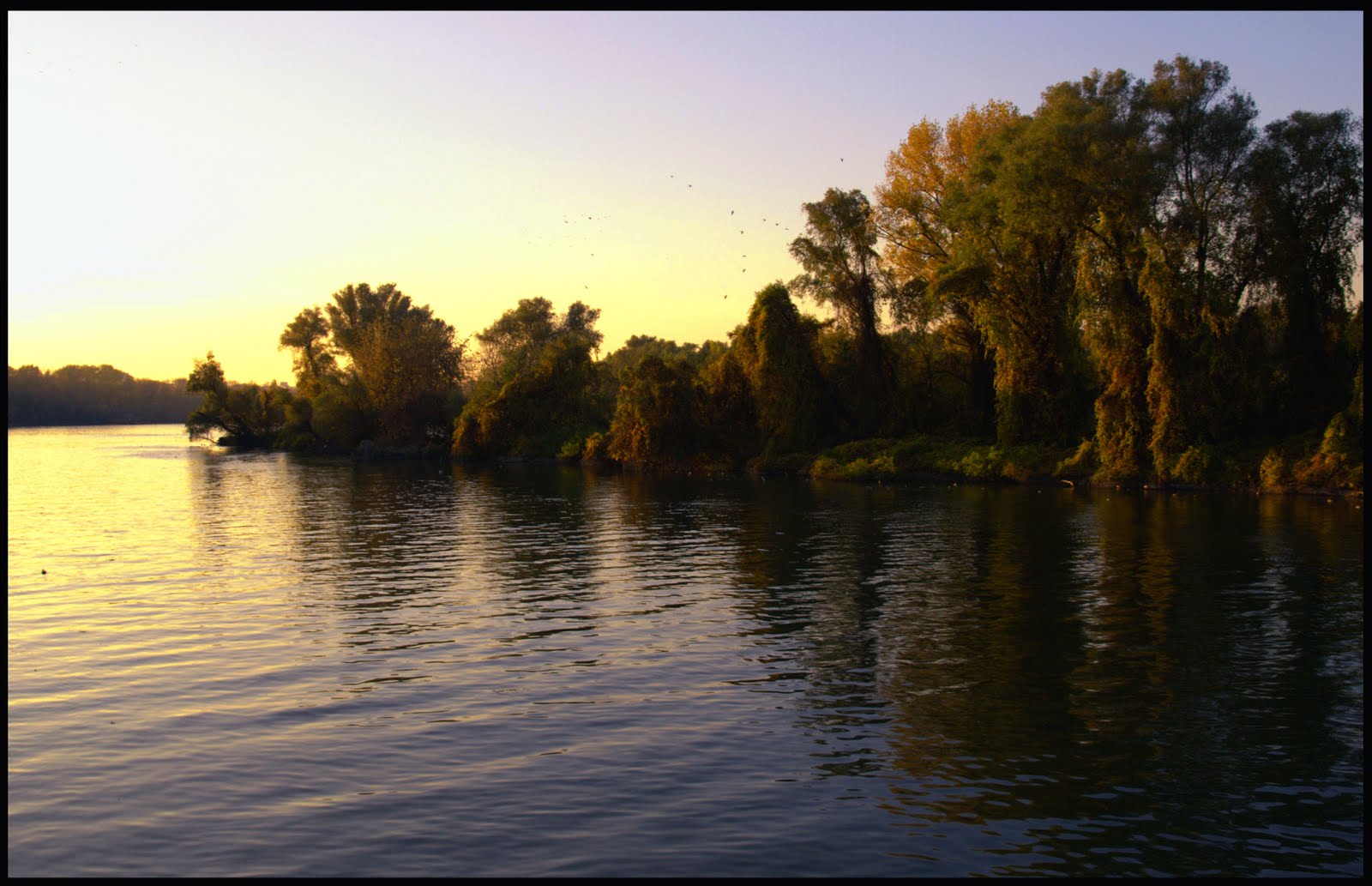 Danube river bank