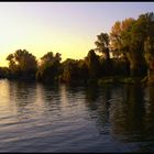 Danube river bank