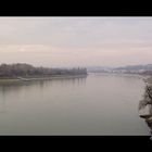 Danubio