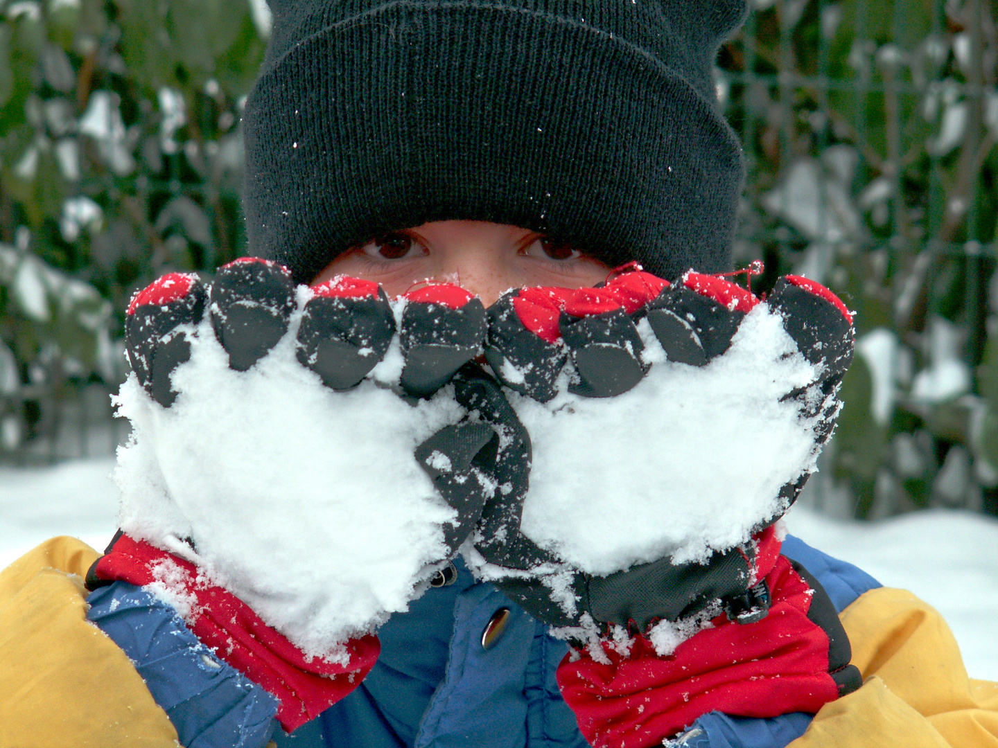 Danyel im Schnee 2010