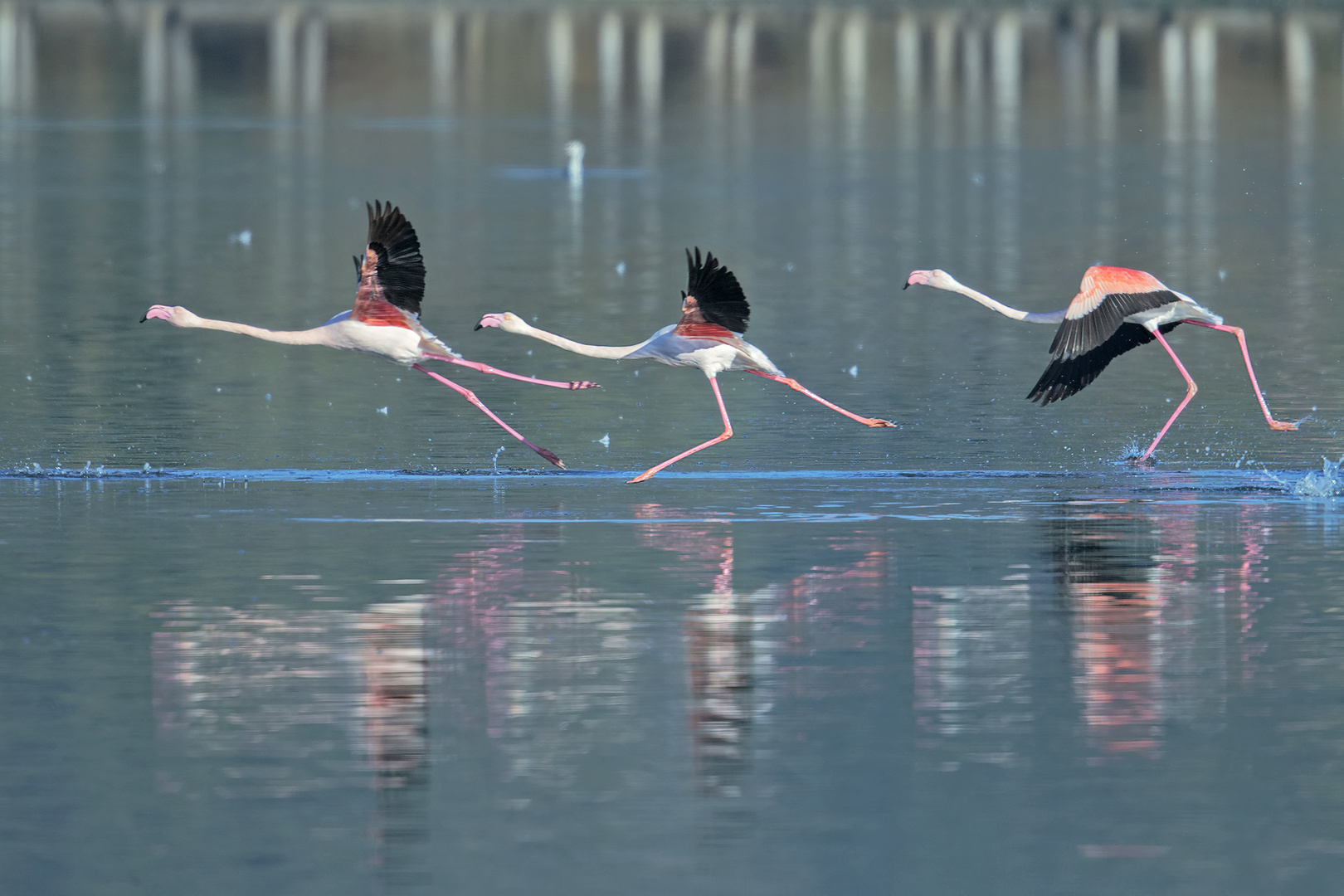 Danzando ...sull'acqua!