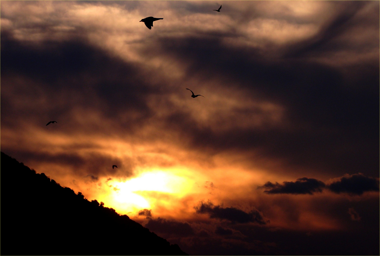 Danze in un'Alba minacciosa