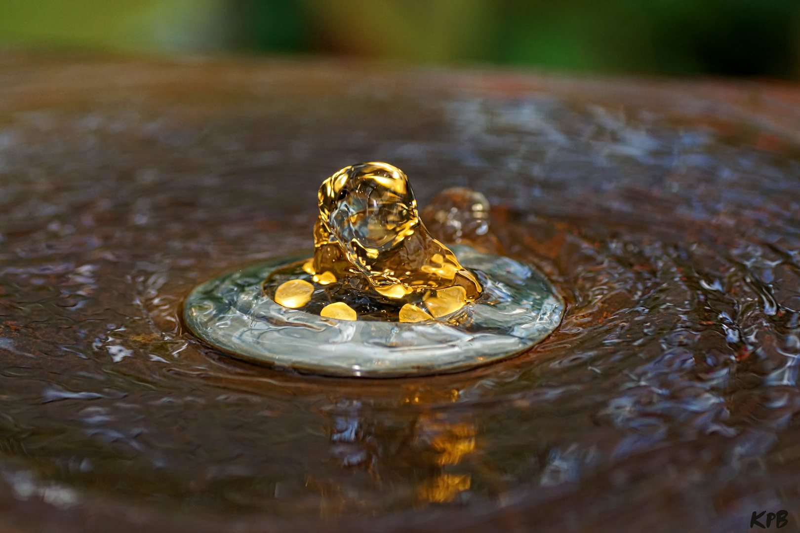 &amp;quot;Danziger Goldwasser&amp;quot; Foto &amp; Bild | natur-kreativ, die elemente, etc ...