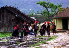 Dao-Frauen. Sapa, Vietnam