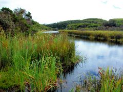 Darby River