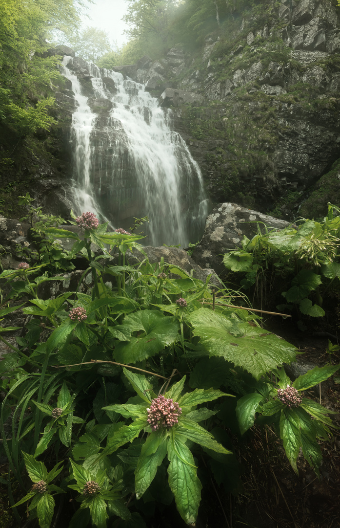 Dardagna waterfalls 