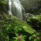 Dardagna waterfalls 