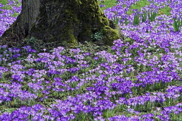Darf es ein bißchen mehr sein :-)