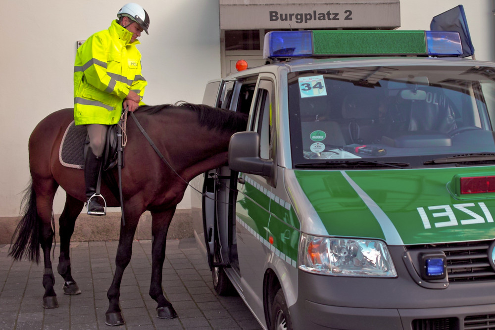 darf ich mitfahren?