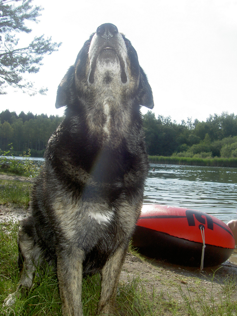 Darf ich wieder ins Wasser?