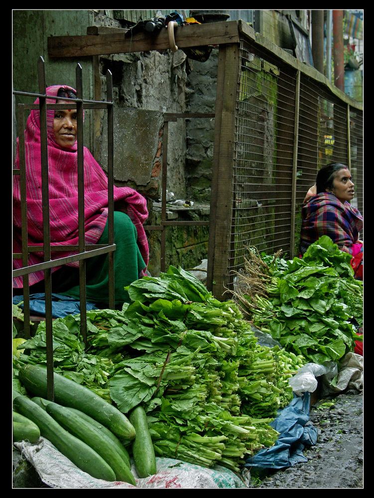 ...Darjeeling...